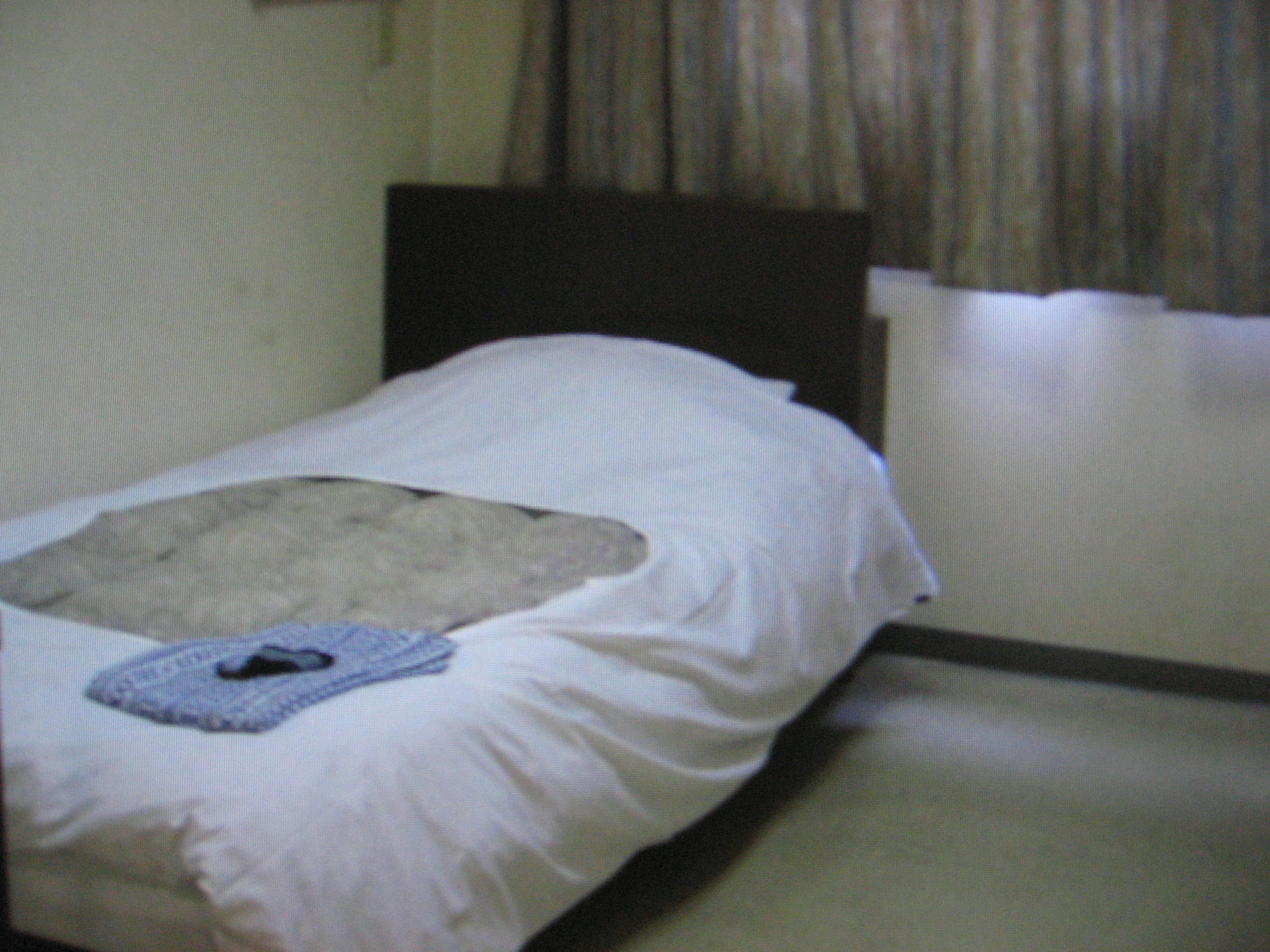 Business Hotel Shinsuma Hekinan Esterno foto
